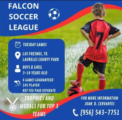 Falcon Soccer League